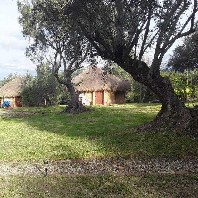 Chalets Sol Muisca RNT85322 - One-Bedroom Chalet - 21