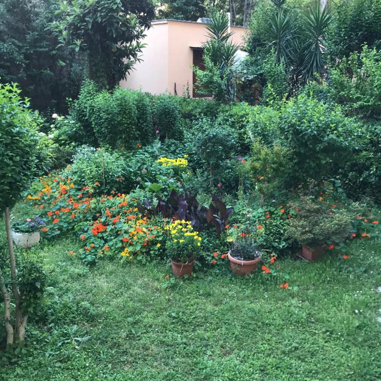 CRIS - close to VATICAN - Centre&StadiumArea - Appartement 1 Chambre - 41