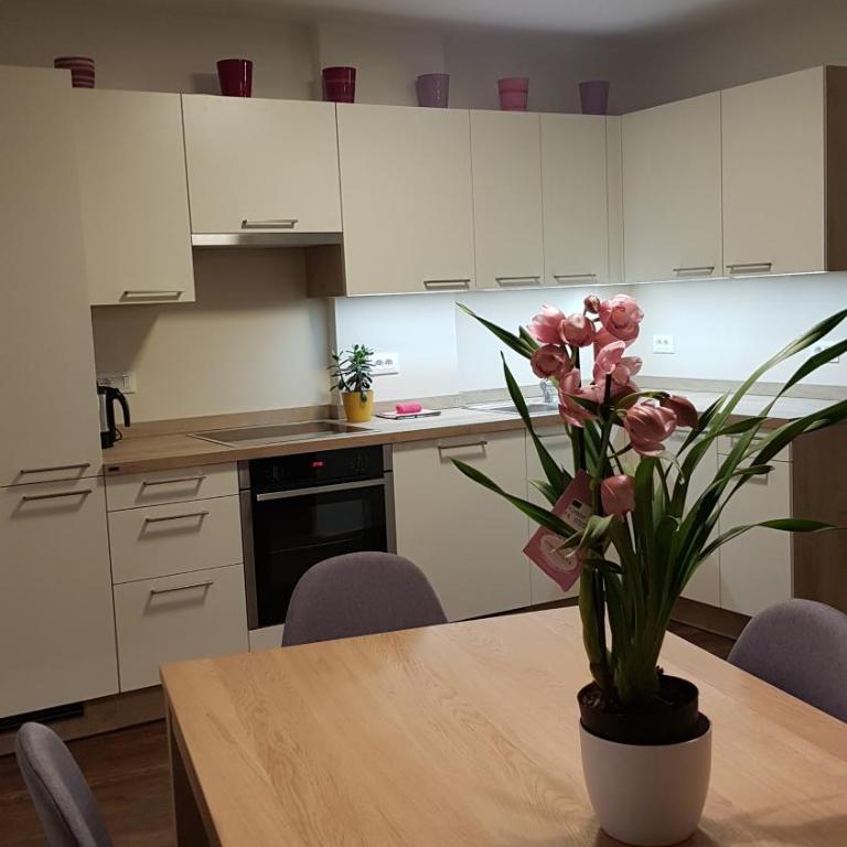 Dolomitica, nuovo, fino a 6 Persone - Appartamento Deluxe - 21