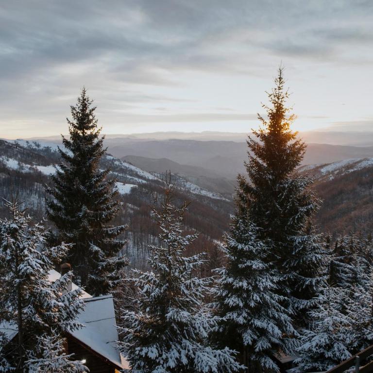 Kostovac Boutique Homes - Loft - Apartment with Mountain View - 13