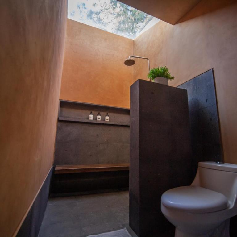 Cabaña Lujo con Alberca Climatizada Vistas al Bosque de Mazamitla - Chalet de 1 dormitorio - 29