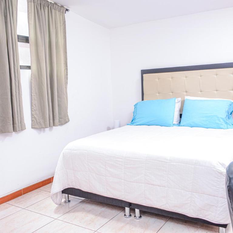 Apartment El Jeffe Medellin - Apartamento - 33
