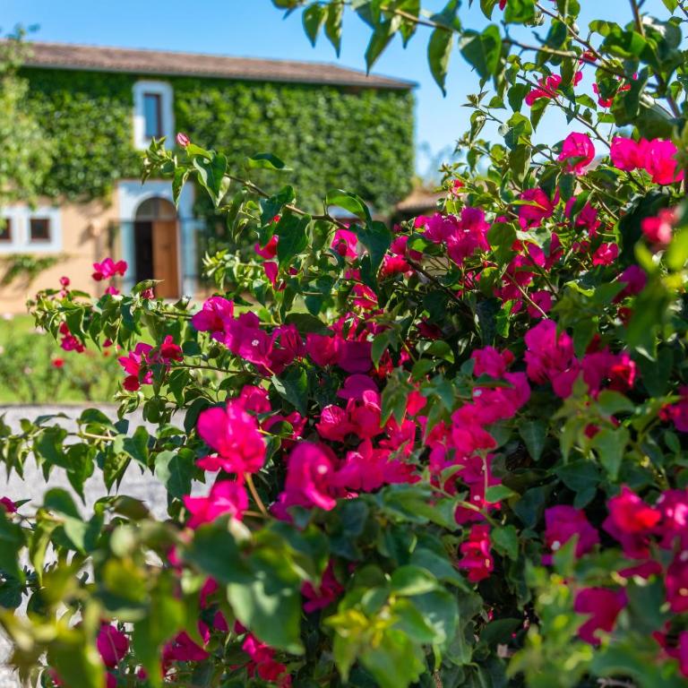 Finca Parra - Villa de 5 dormitorios - 20