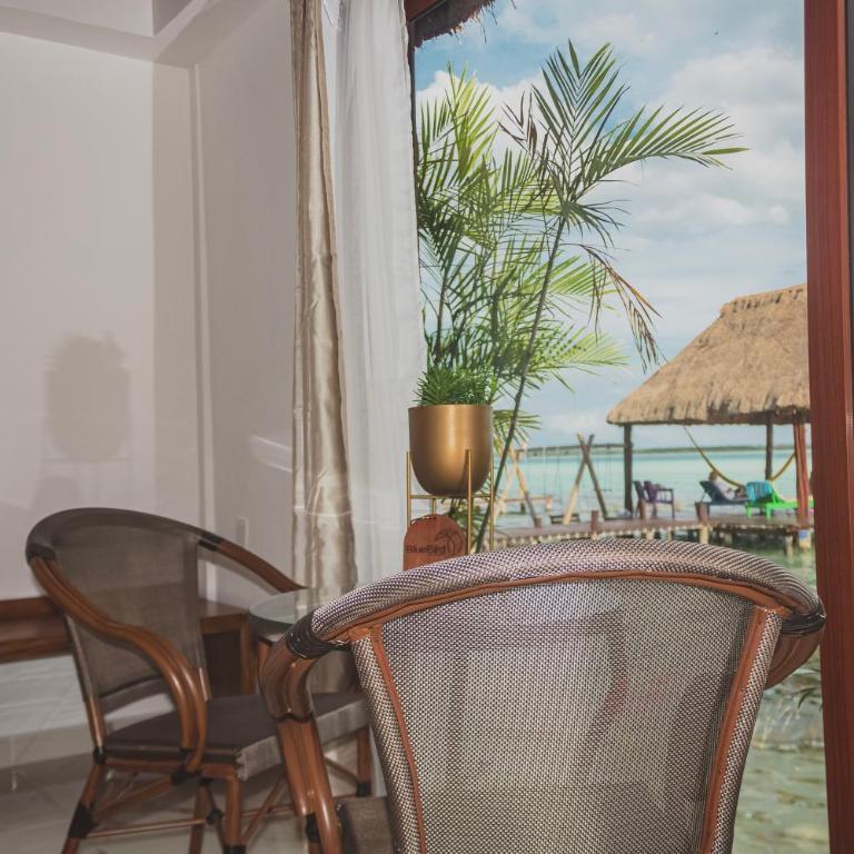Blue Bird - Suite con vistas al mar - Cama extragrande - 5