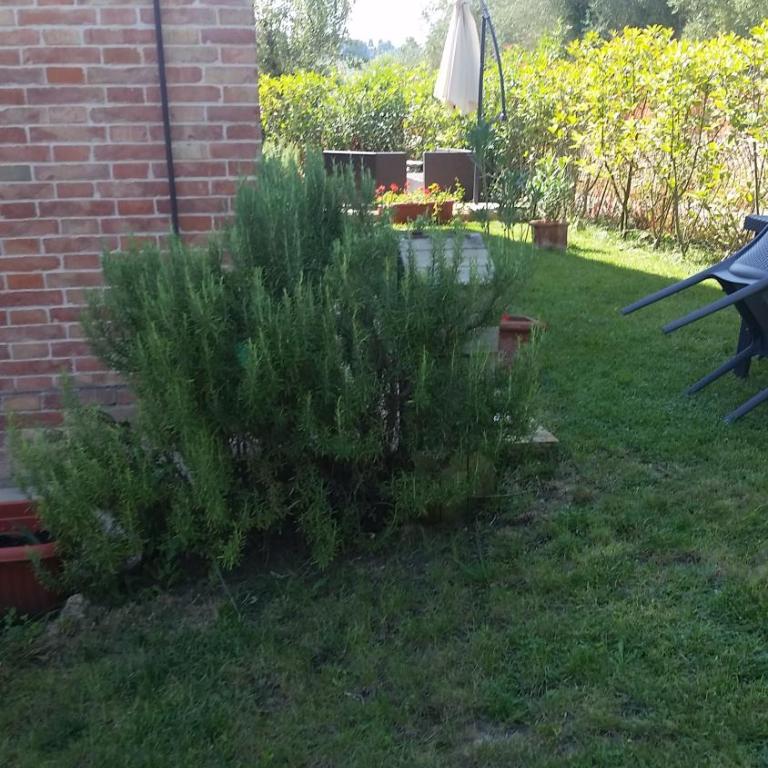 casa il pozzo - Apartment - Ground Floor - 5