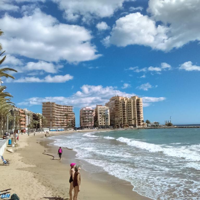 BLUE SEA apartment - Apartamento de 2 dormitorios - 25