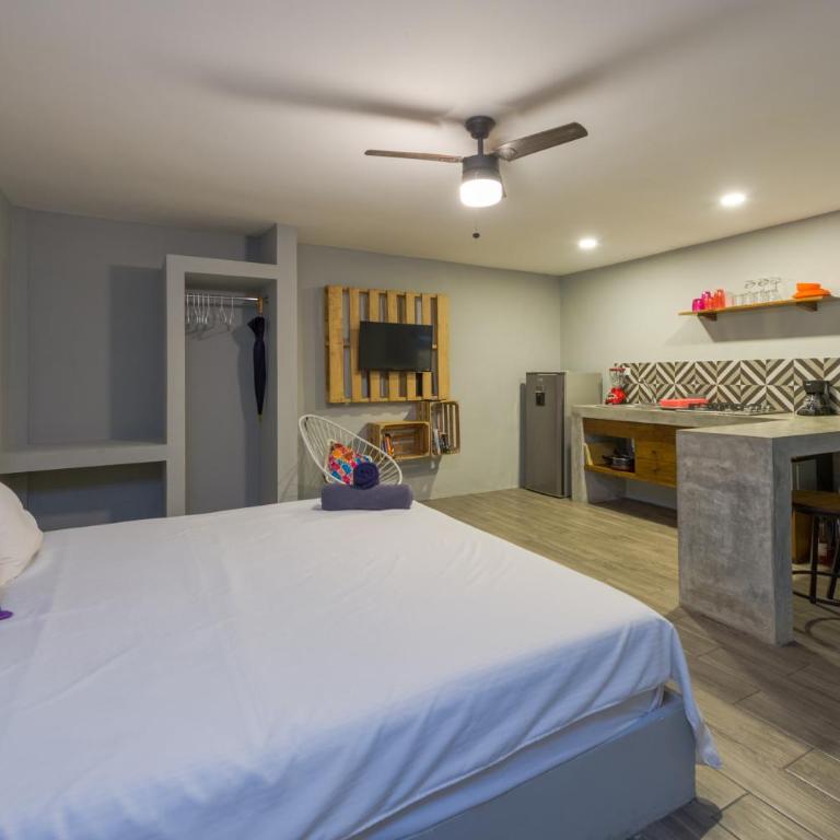 Gaia Studios - Apartamento Estudio - 17
