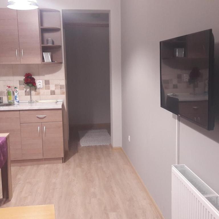 Apartmani V&F - Apartman sa 1 Spavaćom Sobom - 21