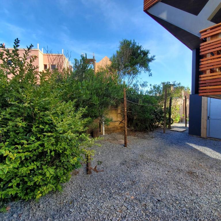 Lobos de Mar - One-Bedroom House - 1