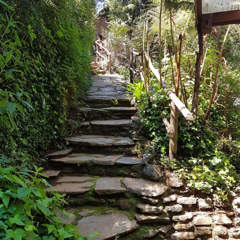 La Rueda del Chucao - Apartamento Estudio - 3
