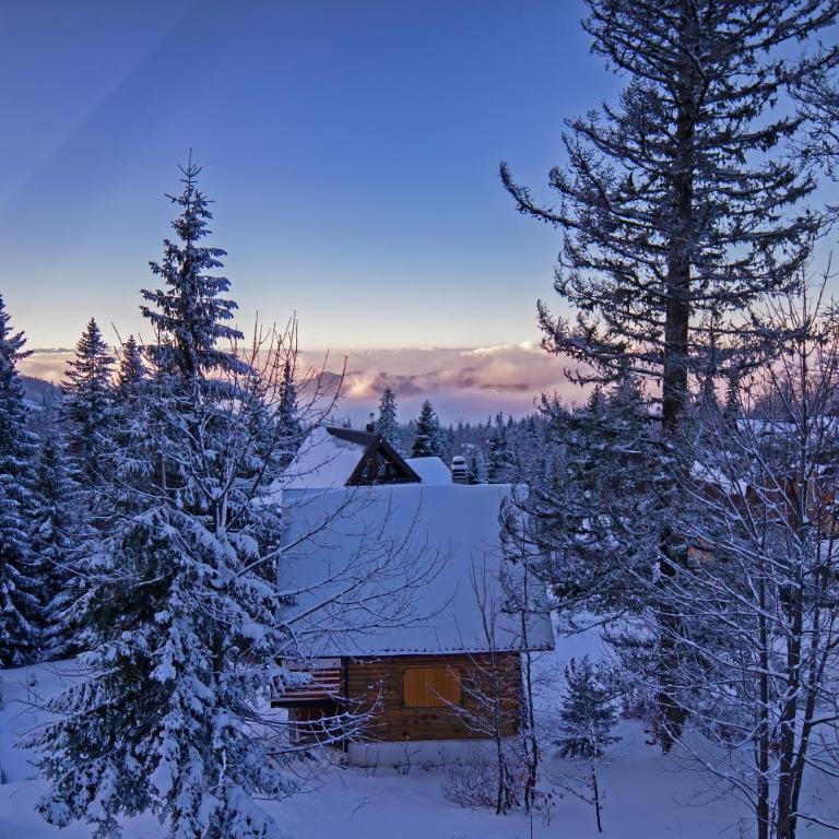 Winter chalet Anzulovic - Two-Bedroom Chalet - 9