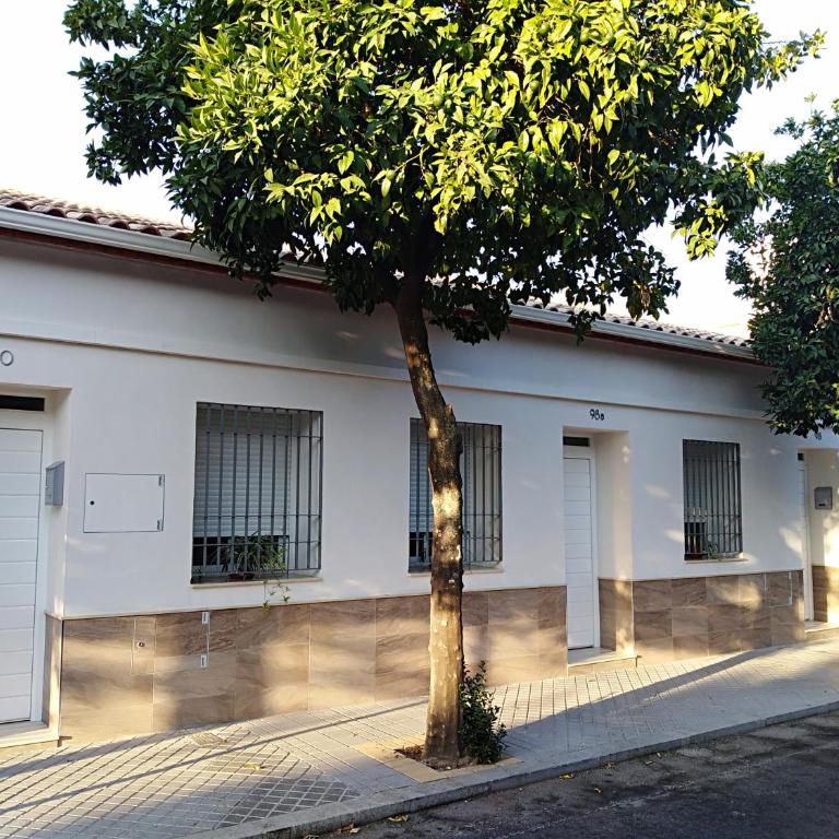 Alzahira 1 - Casa - 18