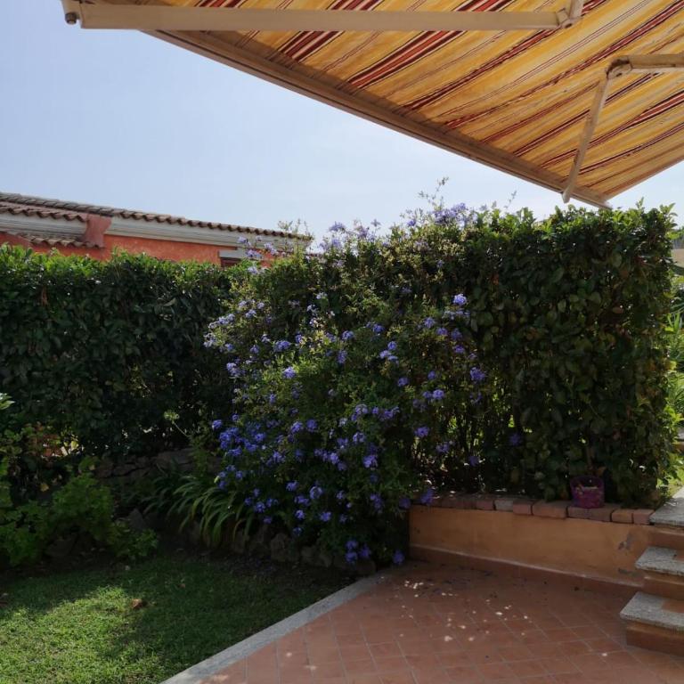 VILLA A 200 METRI DALLA SPIAGGIA - Casa Vacanze - 66