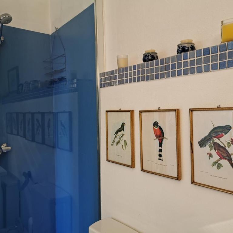 Karol - Appartement - 14