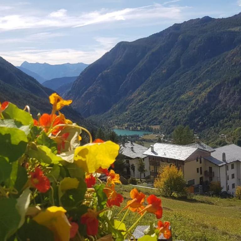 Casa Lo Tzé Alpine Apartments Near Ski Slopes With Parking - Monolocale con Balcone - 4