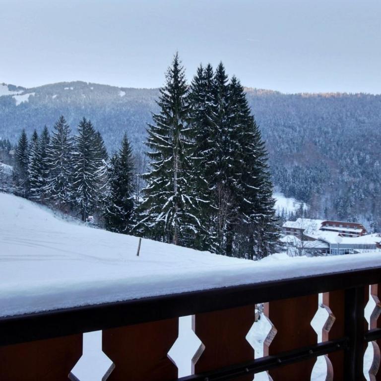 APPARTEMENT PIED DES PISTES -SAINT JEAN D'AULPS STATION-6 PERSONNES- GRAND CERF 10 - Appartement 1 Chambre - 5