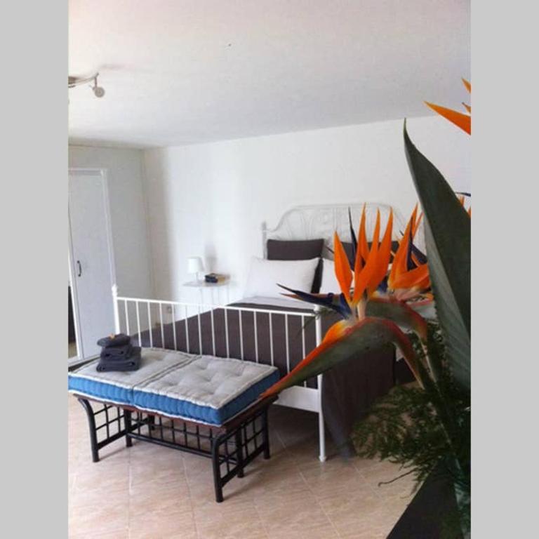 Villa la Rina - Loft - 7