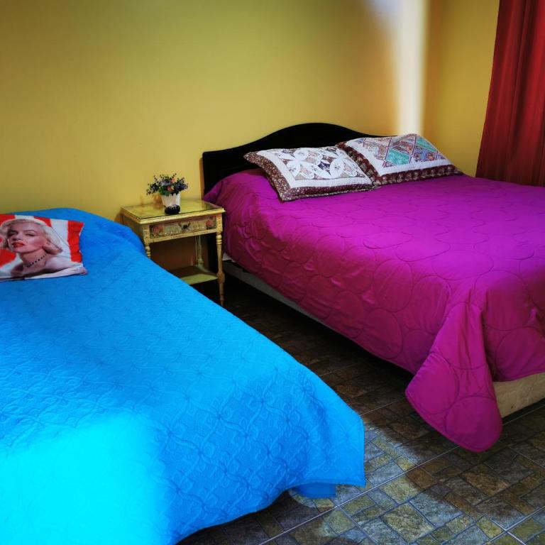 Cabaña Oasis de Pica - Standard Bungalow - 2