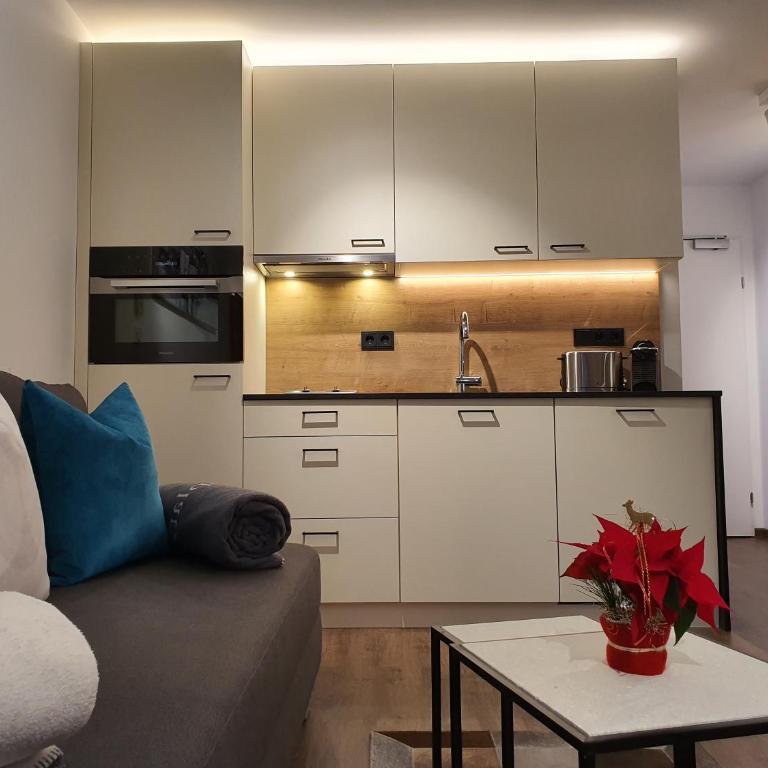 Apartment Leontina - with Air Conditioning and Summer Card - Studio mit Balkon - 15