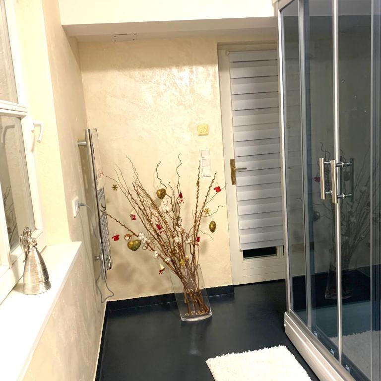 Villa Kitzbühel - Apartment mit 2 Schlafzimmern - 19