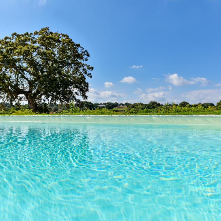 Borgo Aratico - Villa con Piscina Privata - 1