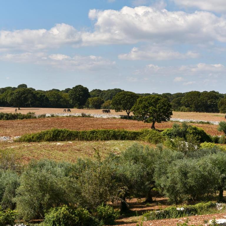 Borgo Aratico - Villa con Piscina Privata - 78