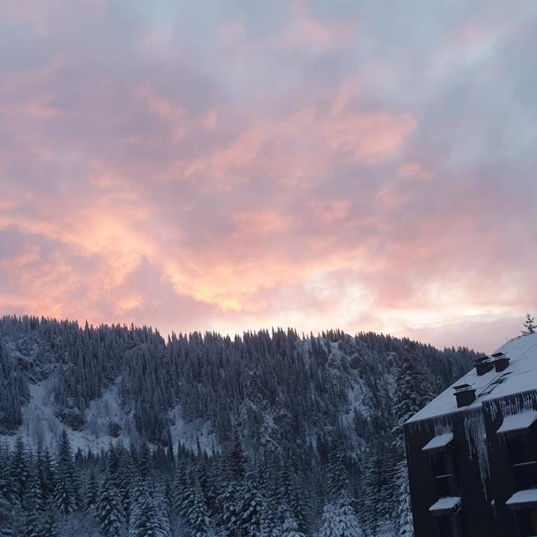 Jelka apartmani - King Studio with Sofa Bed - 17