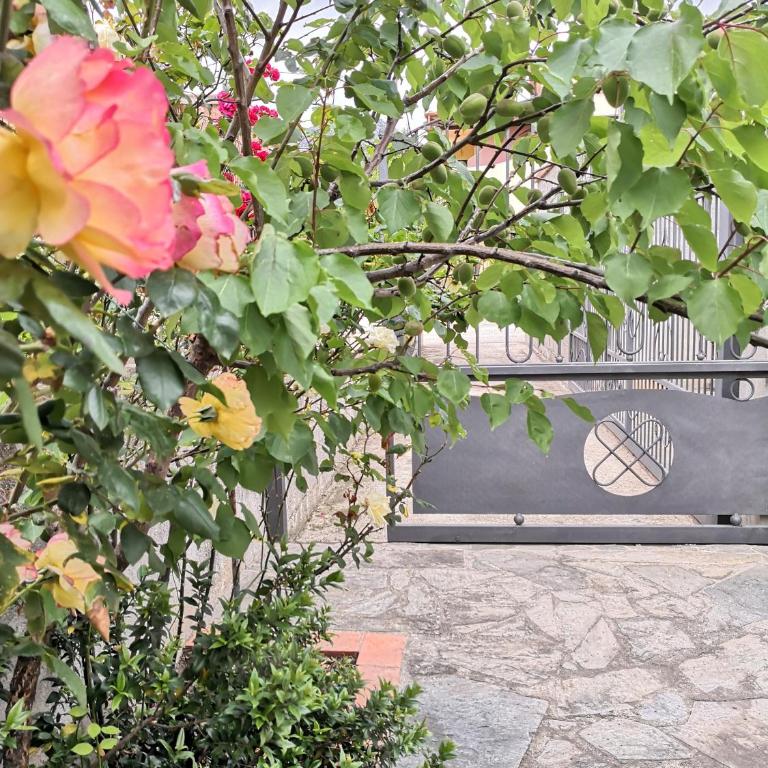 Casa Il Giardino - Casa con 2 Camere da Letto - 4