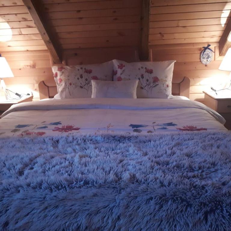 Lodge House Tara - Brvnara sa 3 Spavaće Sobe - 25