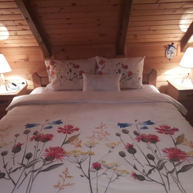 Lodge House Tara - Brvnara sa 3 Spavaće Sobe - 20