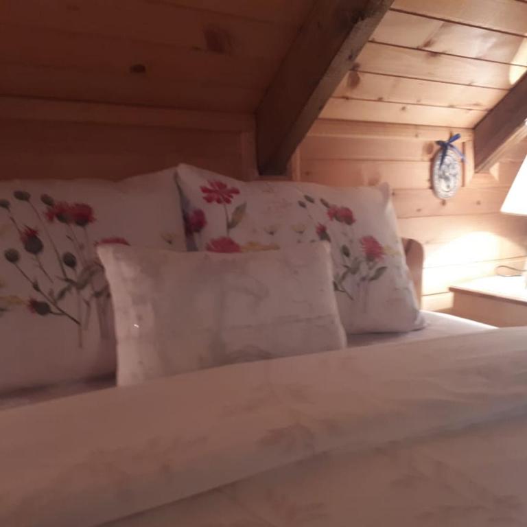 Lodge House Tara - Brvnara sa 3 Spavaće Sobe - 19