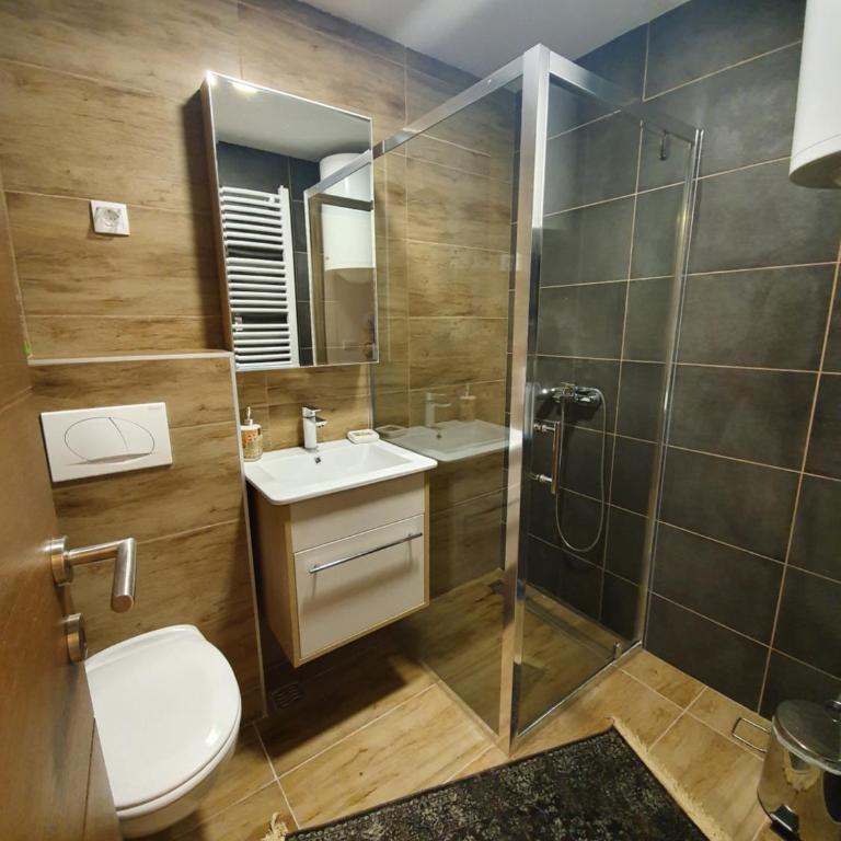 Zlatibor Apartman 21 - Apartman sa 1 Spavaćom Sobom - 6