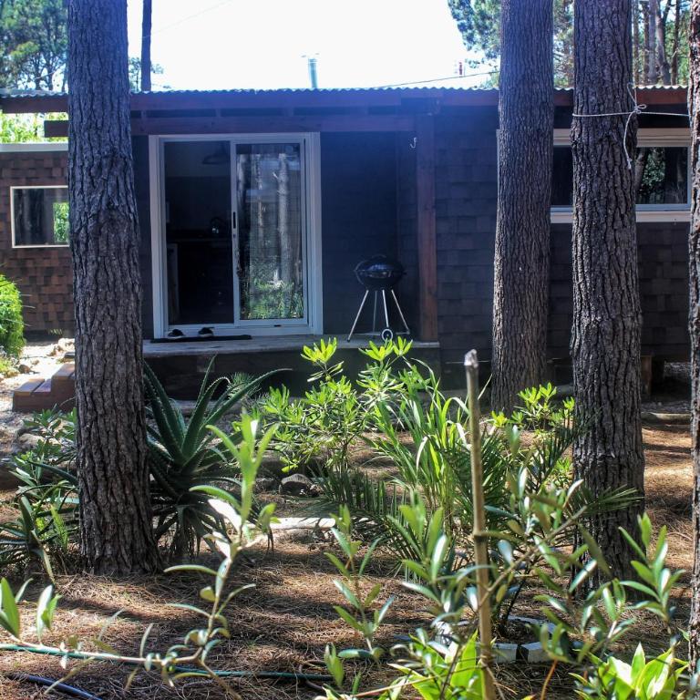 Pinocha Point Bungalows - Habitación Doble con vistas al parque - 1