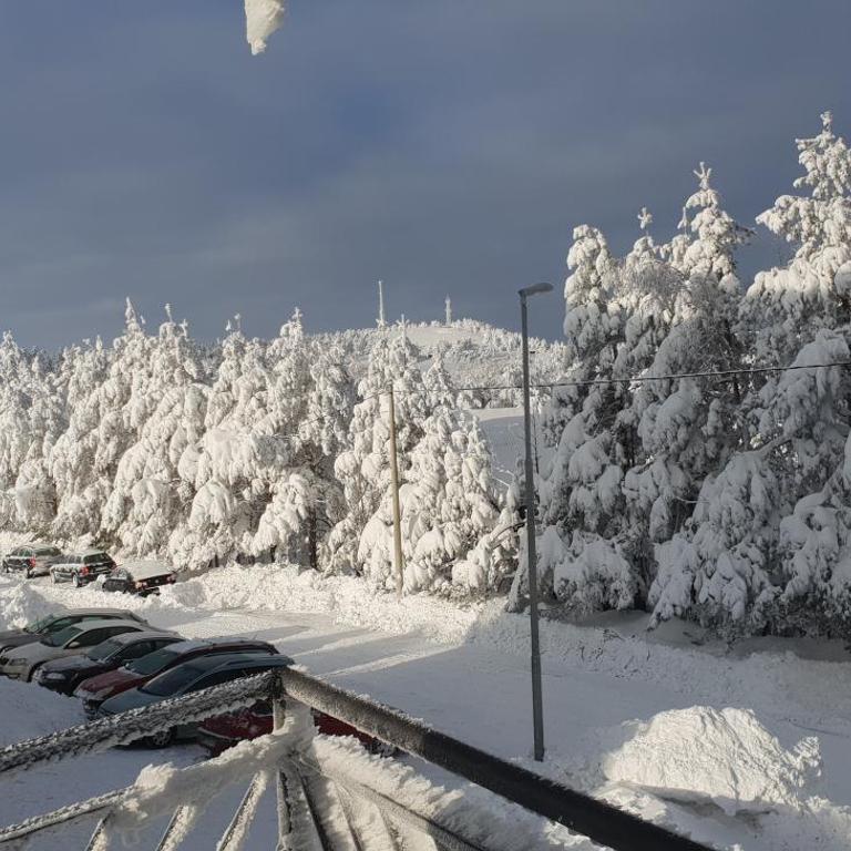 Apartman Mina Divcibare - Apartman sa 1 Spavaćom Sobom - 37