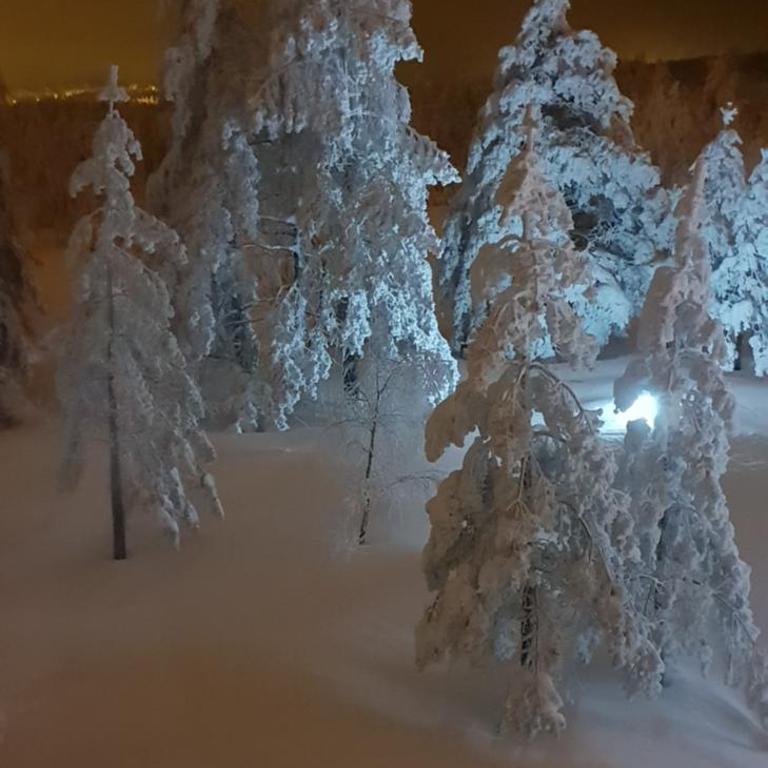 Apartman Mina Divcibare - Apartman sa 1 Spavaćom Sobom - 36