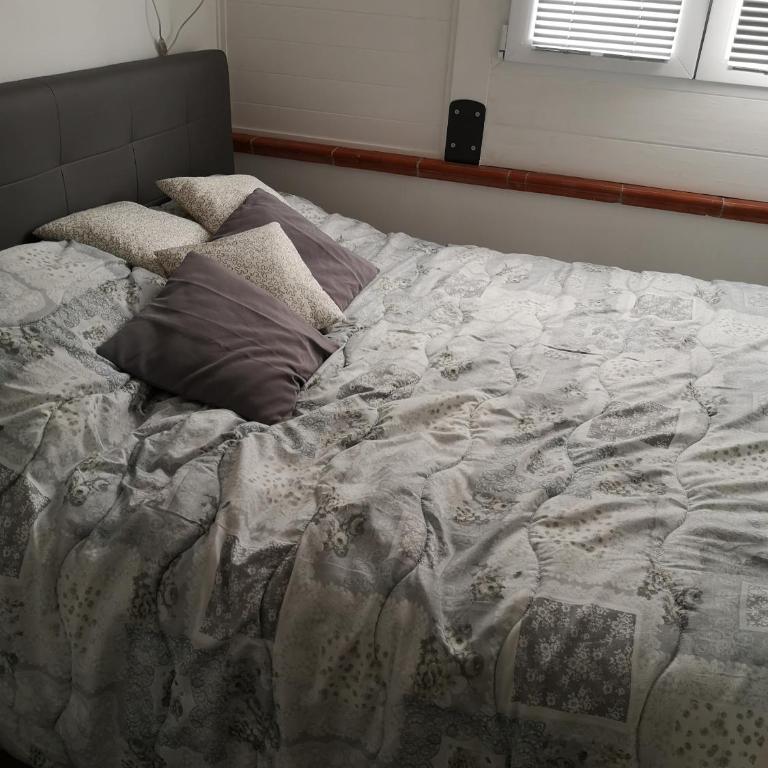 Numero 19 - Apartment mit 1 Schlafzimmer - 11