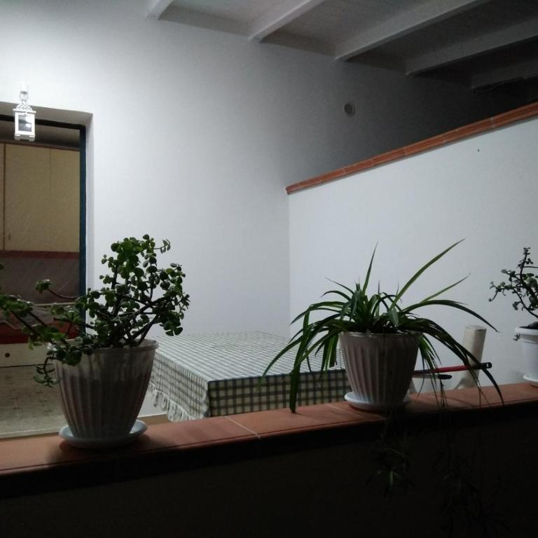 Numero 19 - Apartment mit 1 Schlafzimmer - 5