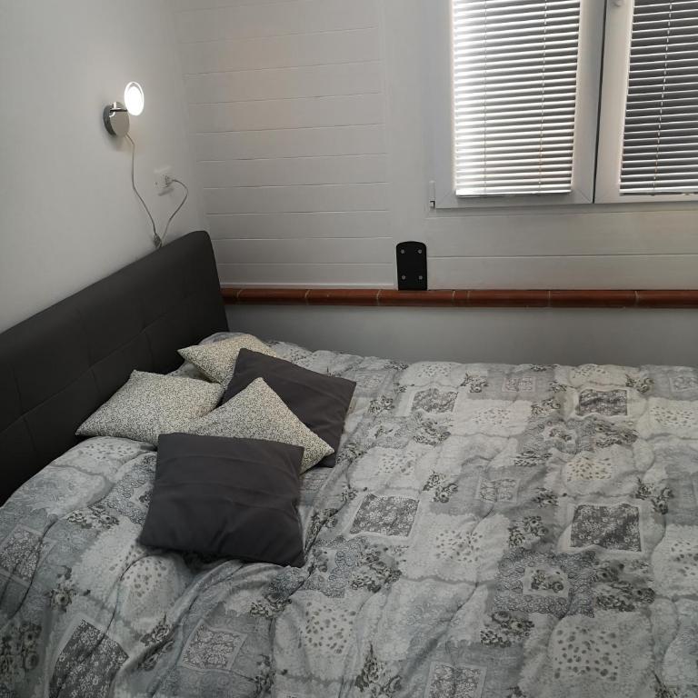 Numero 19 - Apartment mit 1 Schlafzimmer - 2