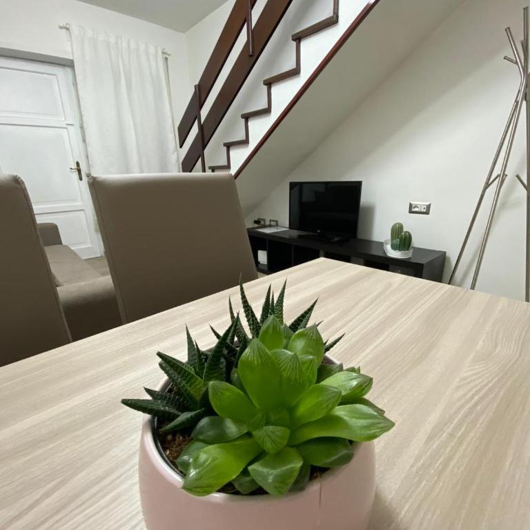 The Place In Rome Guest House - Appartamento con 1 Camera da Letto e Vista Giardino - Su 2 Livelli - 17