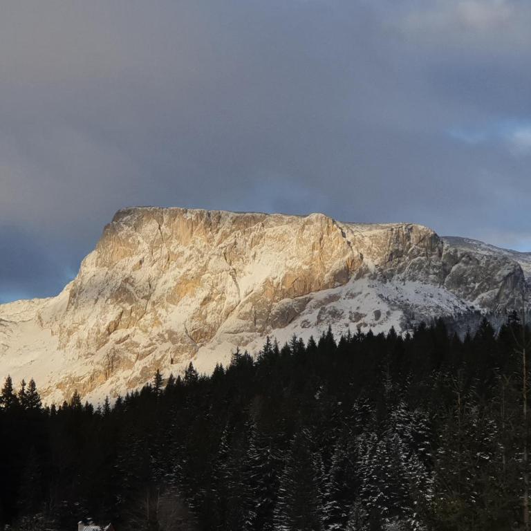 Apartment Durmitor - Studio with Mountain View - 16