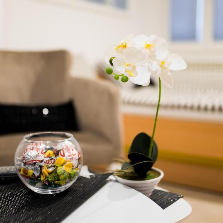 Hostel Herz - Komfor Četvorokrevetna Soba - 16