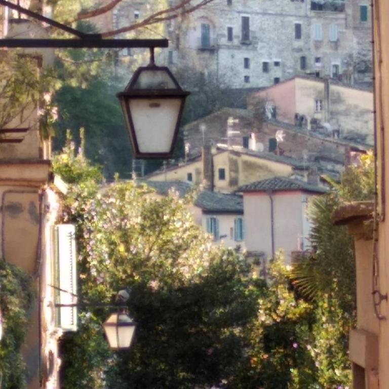 Fabretti House - Centro storico - Appartamento Standard - 2