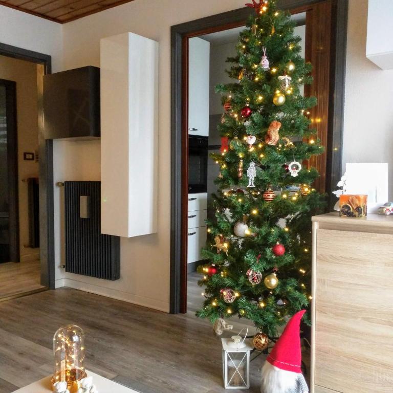 Regina del Bosco della vicina Cavalese - Apartamento de 2 dormitorios - 6