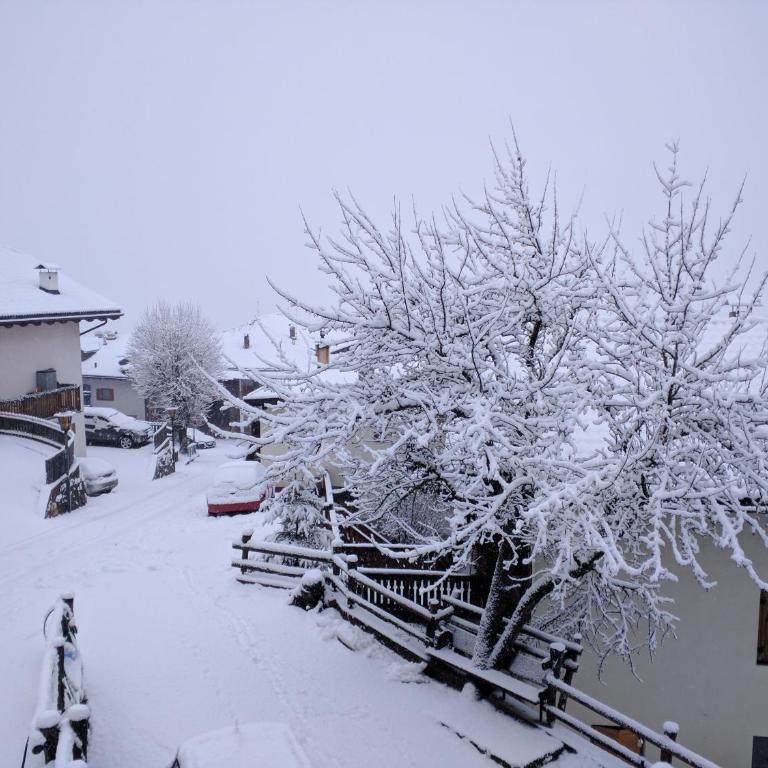 Regina del Bosco della vicina Cavalese - Apartamento de 2 dormitorios - 27