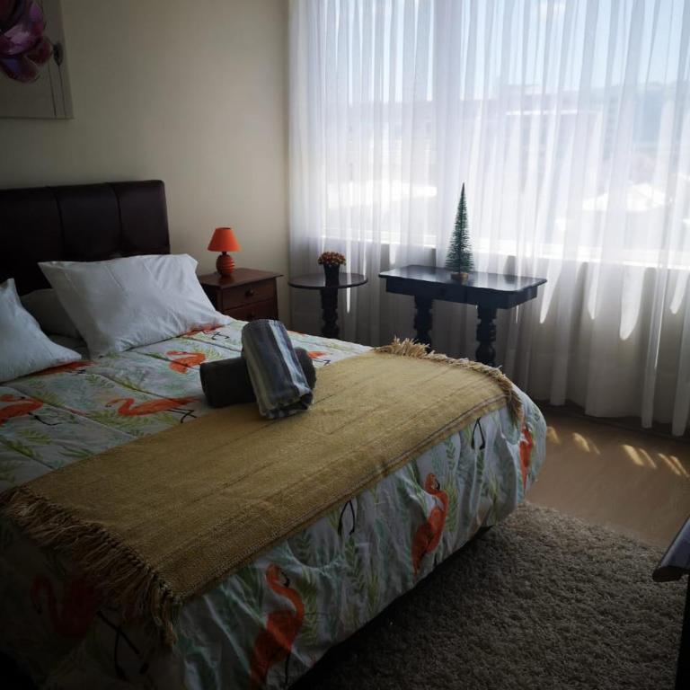 Depto 1 Dormitorio Centro Blanco 702 estacionamiento - One-Bedroom Apartment - 9