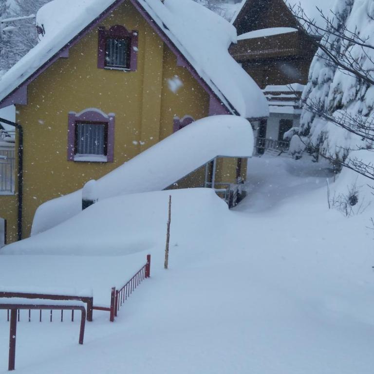 Apartmani Miletic Kopaonik - Apartman sa 1 Spavaćom Sobom - 7