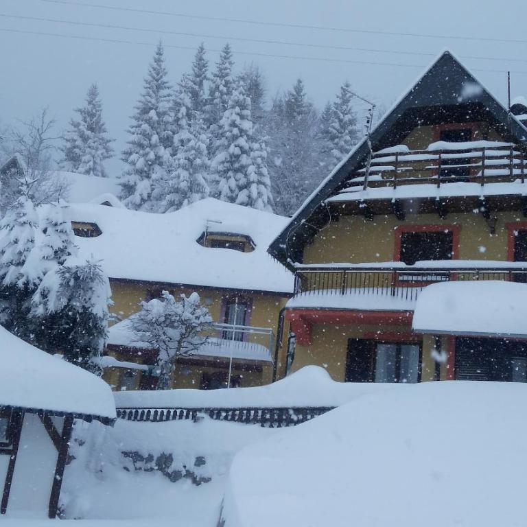 Apartmani Miletic Kopaonik - Studio s Pogledom na Vrt - 1