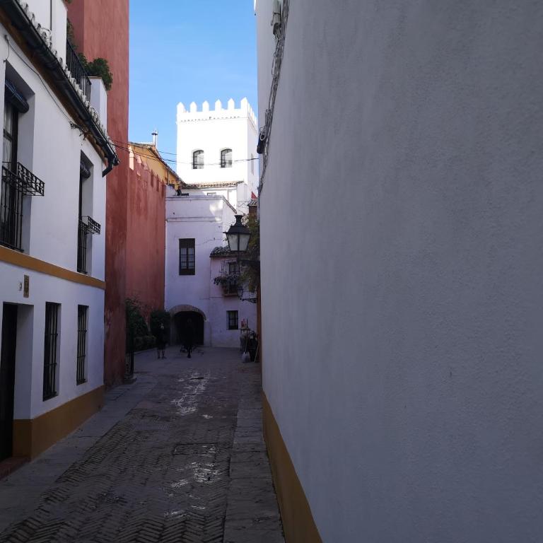 The Wall of the Alcázar Palace - Casa independiente de 2 dormitorios con terraza - 46