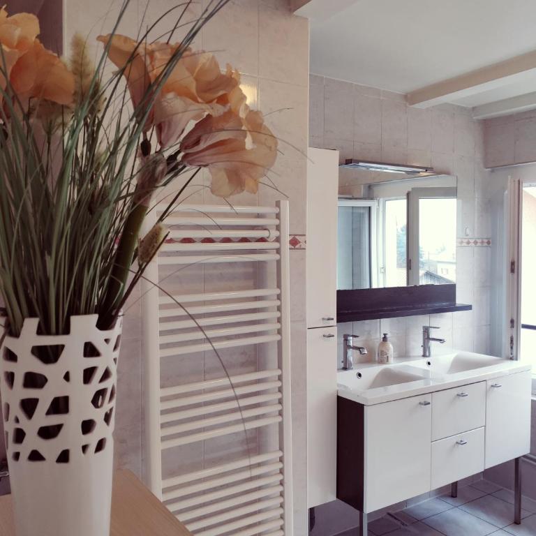 Au bord du Foron - Appartement - 7