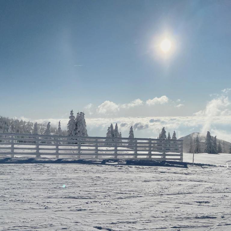 Teddy Apartman Kula Konaci - Deluks Studio - 1